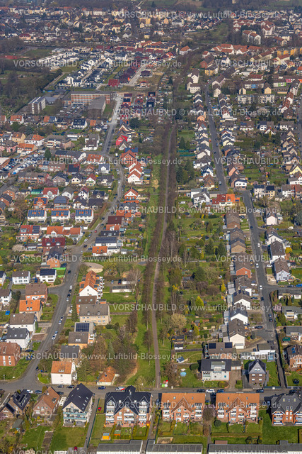 Hamm240306627 | Luftbild, Wohngebiet entlang des Erika-Salomon-Weg, Baumallee, Mitte, Hamm, Ruhrgebiet, Nordrhein-Westfalen, Deutschland