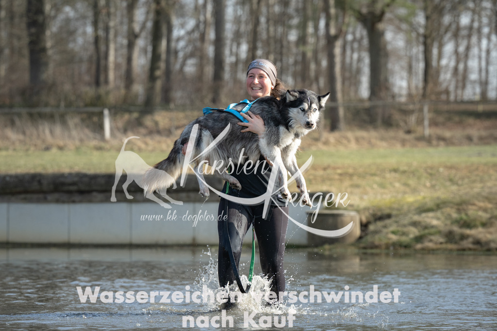 1330_ZZ96651 | kk-dogfotos