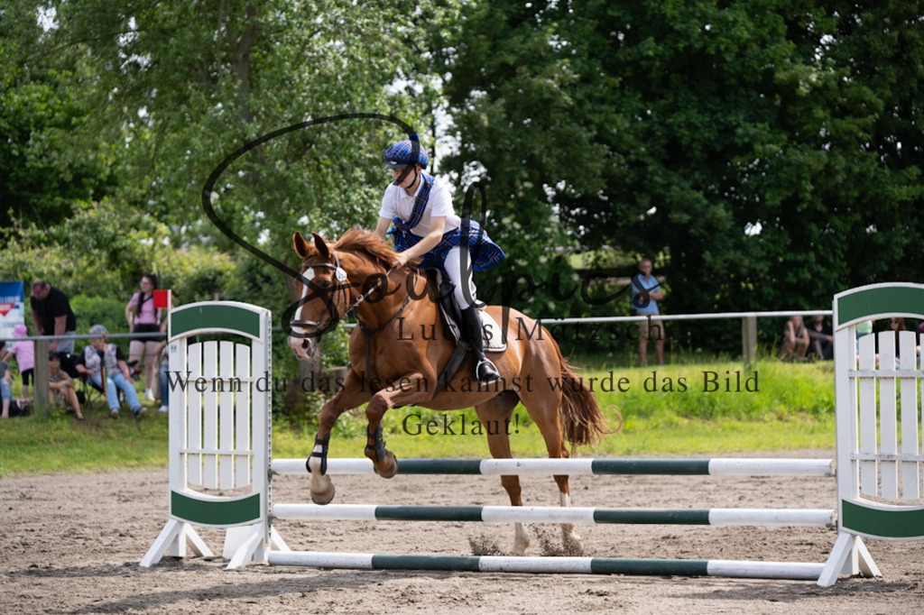 A7V04711 | Pferdefotograf