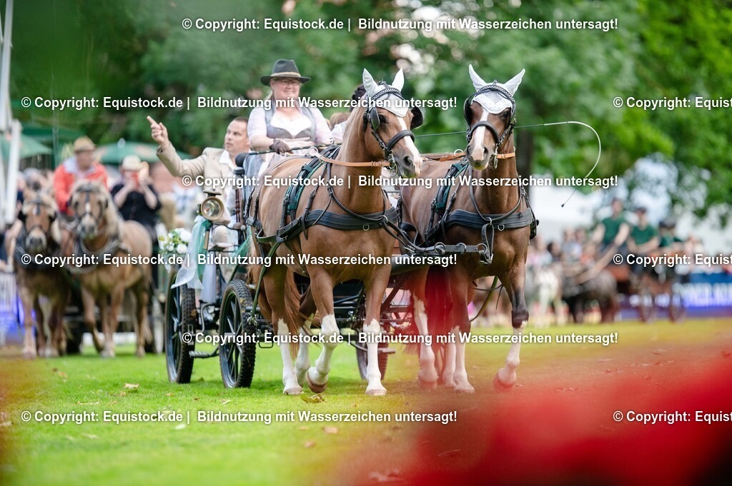 20250606_Lange-Pferdenacht_0151 | Foto: Thomas Hartig