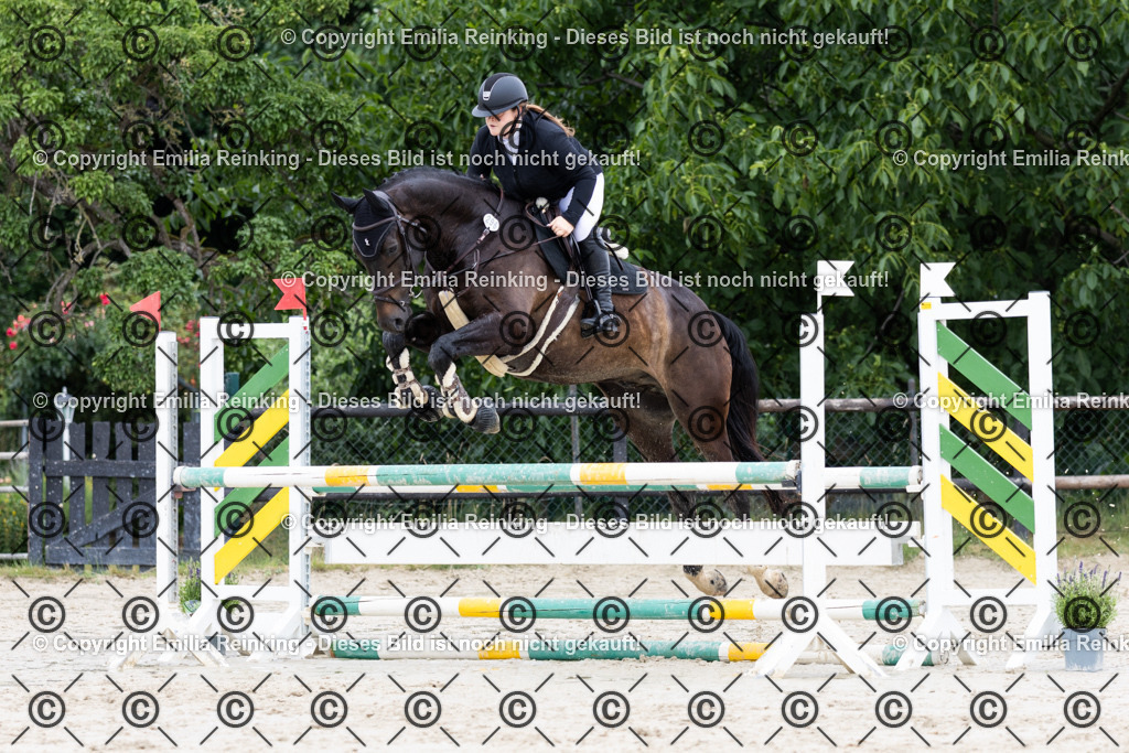 CL5A5041 | Emilia Reinking Fotografie - Realisiert mit Pictrs.com