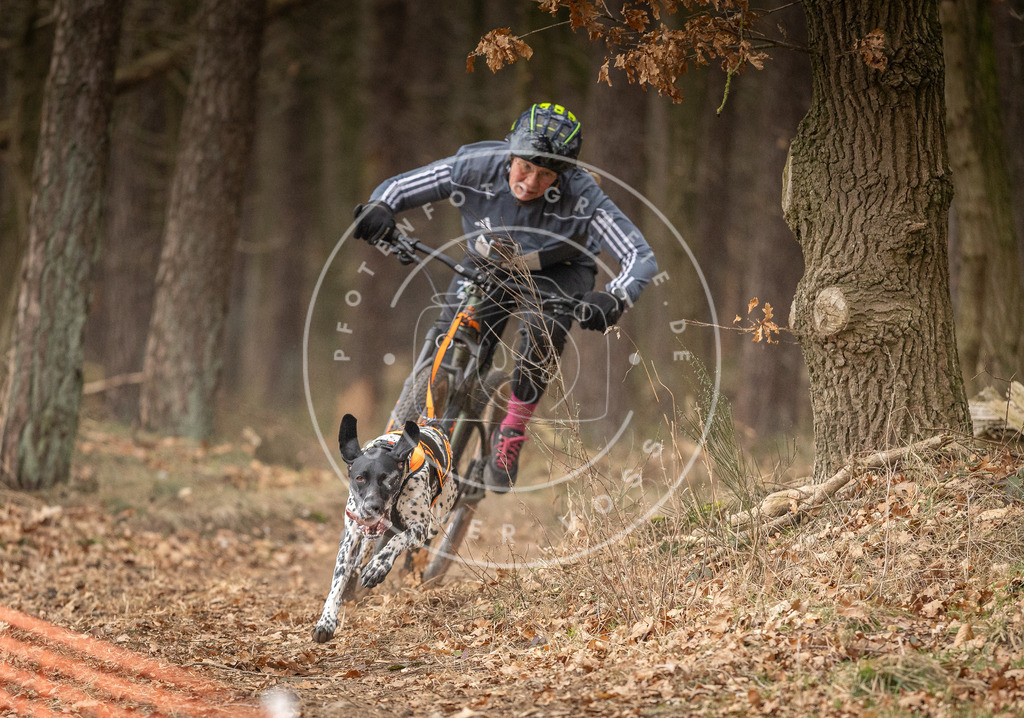 Pfotenfotografie_DV3A2771 | Hundefotografie, Tierfotograf, Pfotenfotografie, Fotoshooting Hund, Hunde Portrait, Hundesport, Hundeportraits, Heideshooting, Hunde, Sportfotograf, Hundefotograf, Turnierhundsport, THS,  - Realisiert mit Pictrs.com