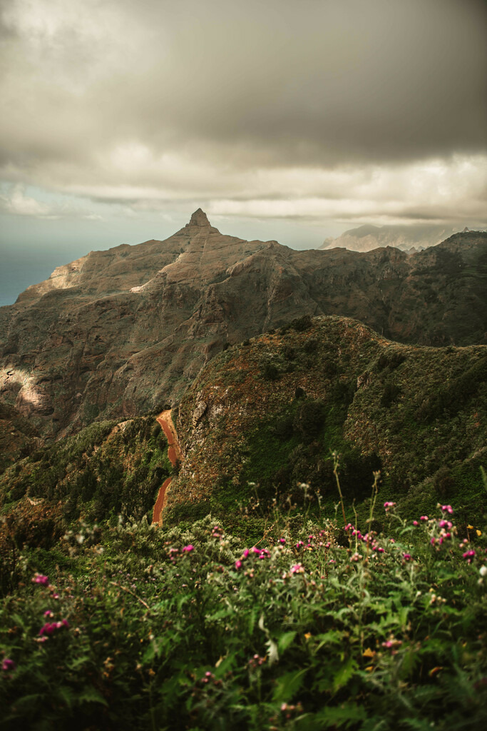 Teneriffa_by Leevke Draack_14 | Du suchst natürliche und atmosphärische Prints oder Leinwanddrucke? In diesem Shop gibt es alles, nur kein Mainstream. - Realisiert mit Pictrs.com