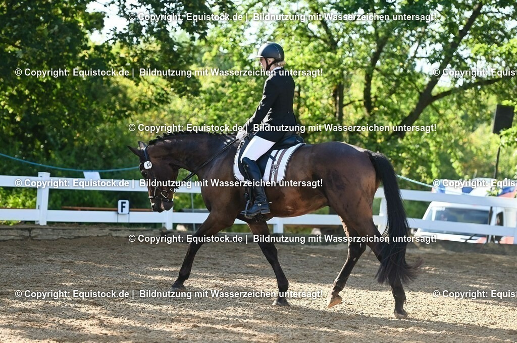 20230715_06_Dressurpferdeprfg. Kl.A_0052 | equistock