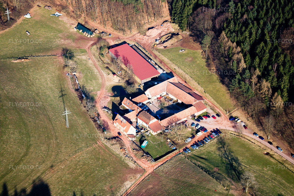 Luftbild: Bärenbrunnerhof in Busenberg im Bundesland Rheinland-Pfalz in Deutschland. Foto: IMG_17460.jpg vom 21.03.2009 durch Werner Riehm/FLY-FOTO.de