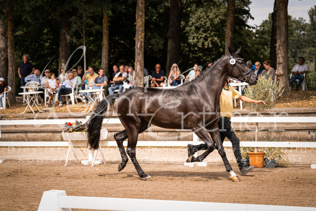 4.Fr00137 | Leoni Ertmer Photography - Realisiert mit Pictrs.com