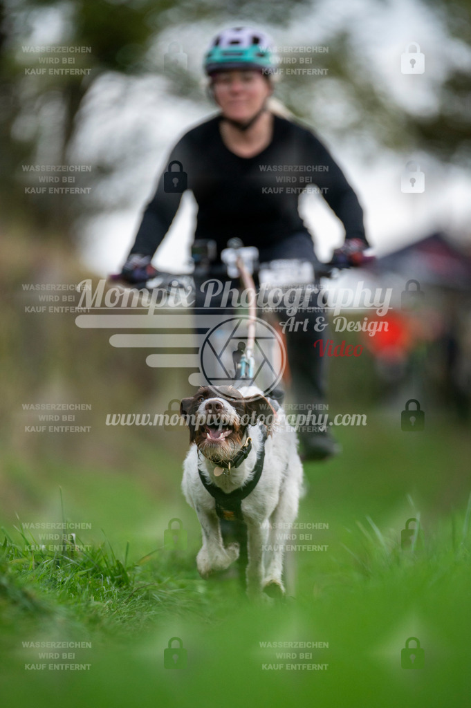 TSB_2023_E8_Bike-66 | PayLife