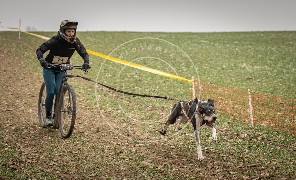 Pfotenfotografie_DV3A3686 | Hundefotografie, Tierfotograf, Pfotenfotografie, Fotoshooting Hund, Hunde Portrait, Hundesport, Hundeportraits, Heideshooting, Hunde, Sportfotograf, Hundefotograf, Turnierhundsport, THS,  - Realisiert mit Pictrs.com