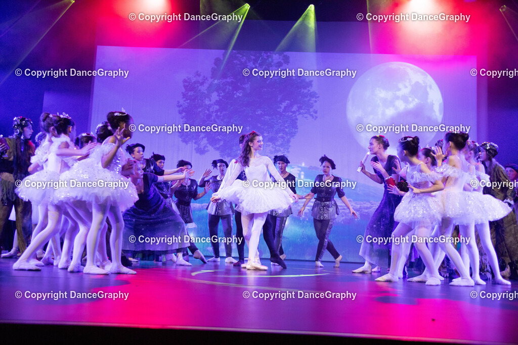 GPHY3435 | DanceGraphy - Realisiert mit Pictrs.com