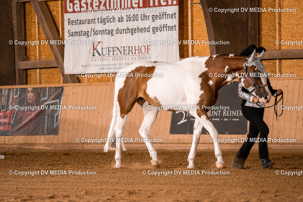 NE100068 | dv-media-shop - Realisiert mit Pictrs.com