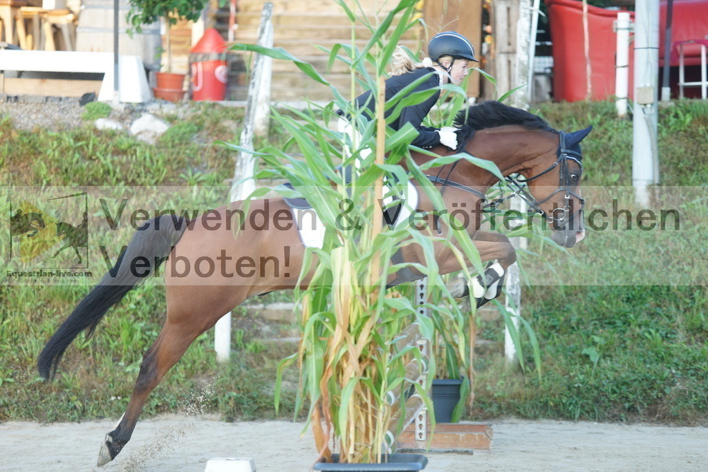 DSC02054 | equestrian-live-com
