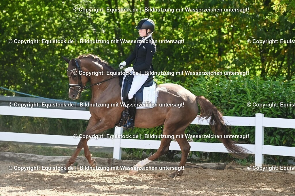 20230715_06_Dressurpferdeprfg. Kl.A_0441 | equistock