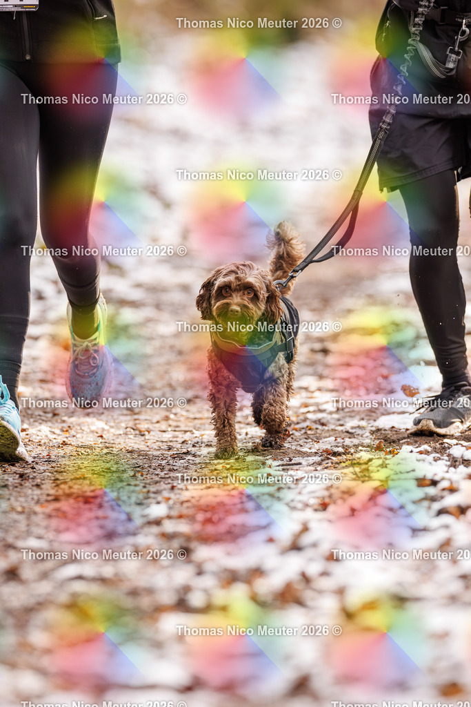 Thomas_Nico_Meuter(C)_223A9233 | Bild von Thomas Nico Meuter - Realisiert mit Pictrs.com