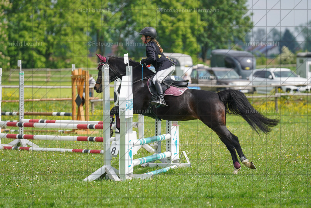 20240509-FAH02257 | Turnierbilder der Turnierfotografen Bayern, Pferdesport Fotografie, Reitsportbilder, Turnier Landberg am Lech, Turnierbilder bayern, Fotoagentur Herrmann
