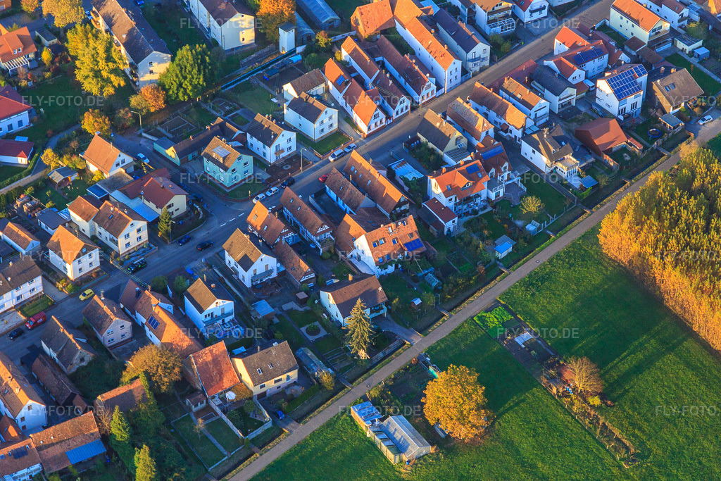 Luftbild: Bachweg am Hintergraben in Kandel im Bundesland Rheinland-Pfalz in Deutschland. Foto: IMG_095833.jpg vom 30.10.2016 durch Werner Riehm/FLY-FOTO.de