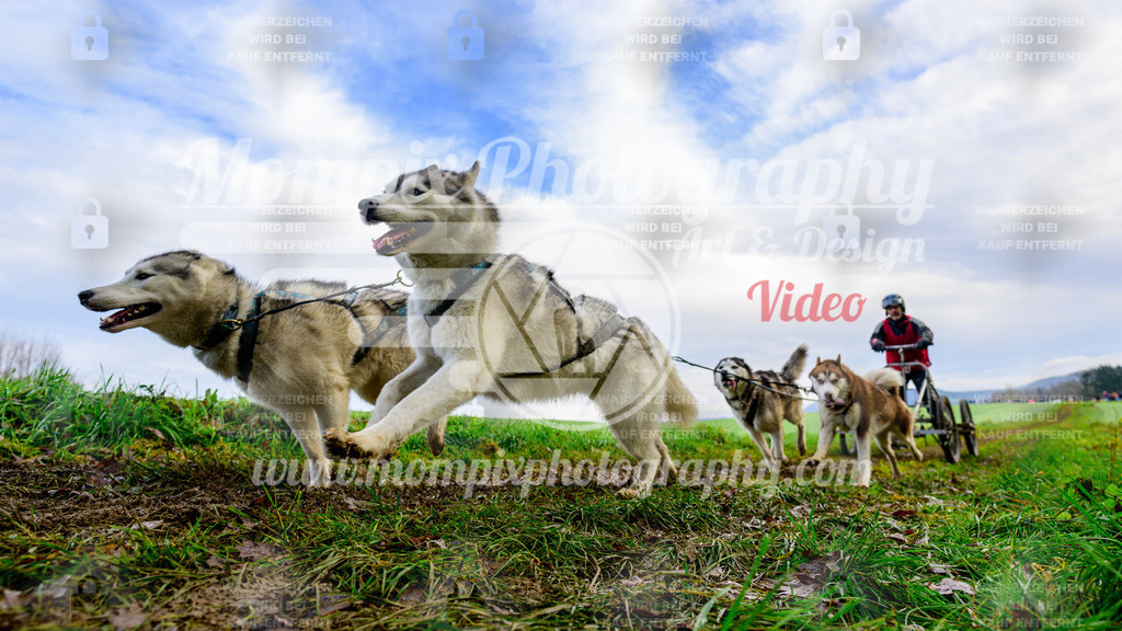 MompixPhotography_Staufertrail2024_SO_Kart-15 | PayLife