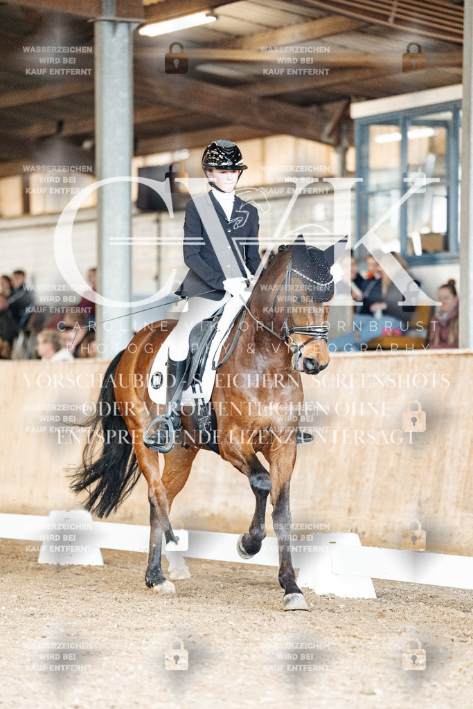CK901515 | Turnierfotografie Pferdefotografie Trier Rheinland-Pfalz Pferdesport Reitsport Tierfotografie Sportfotografie Pferdevideo Pferdevideografie Equestrianvideography equestrianphotography  - Realisiert mit Pictrs.com