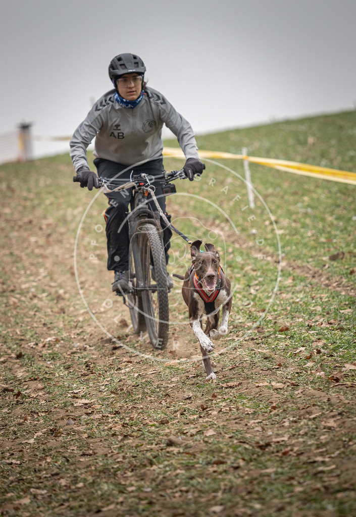 Pfotenfotografie_DV3A2473 | Hundefotografie, Tierfotograf, Pfotenfotografie, Fotoshooting Hund, Hunde Portrait, Hundesport, Hundeportraits, Heideshooting, Hunde, Sportfotograf, Hundefotograf, Turnierhundsport, THS,  - Realisiert mit Pictrs.com