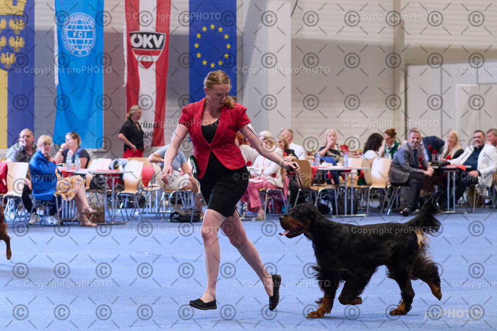 202406_ÖKV-IHA-Tulln24_DSC_4104 | proPHOTO - Realisiert mit Pictrs.com