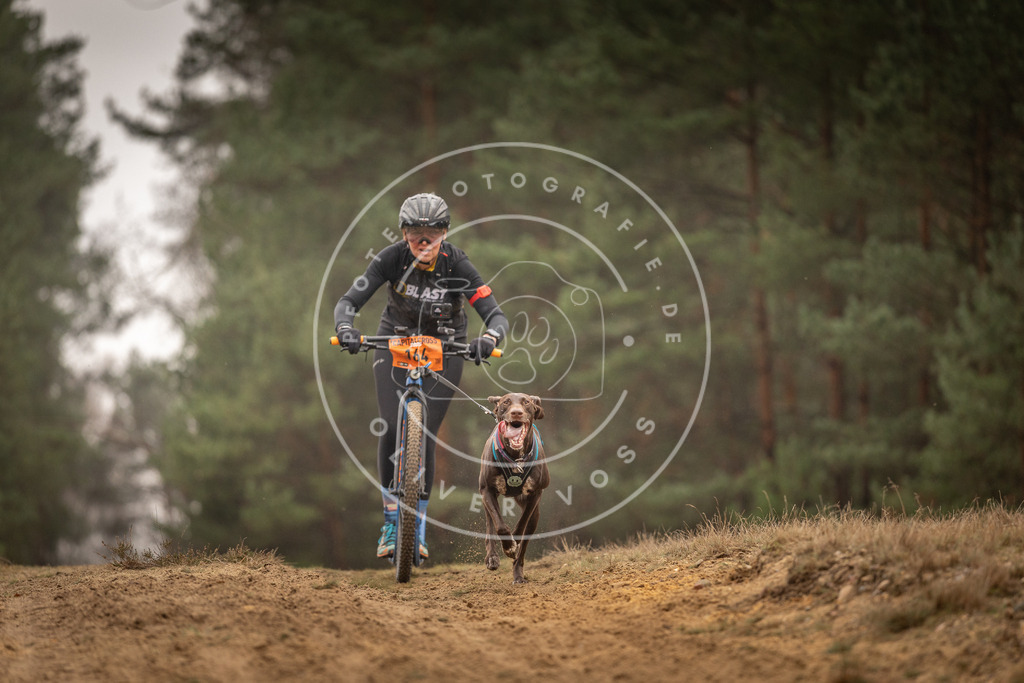 Pfotenfotografie_DV3A4355 | Hundefotografie, Tierfotograf, Pfotenfotografie, Fotoshooting Hund, Hunde Portrait, Hundesport, Hundeportraits, Heideshooting, Hunde, Sportfotograf, Hundefotograf, Turnierhundsport, THS,  - Realisiert mit Pictrs.com