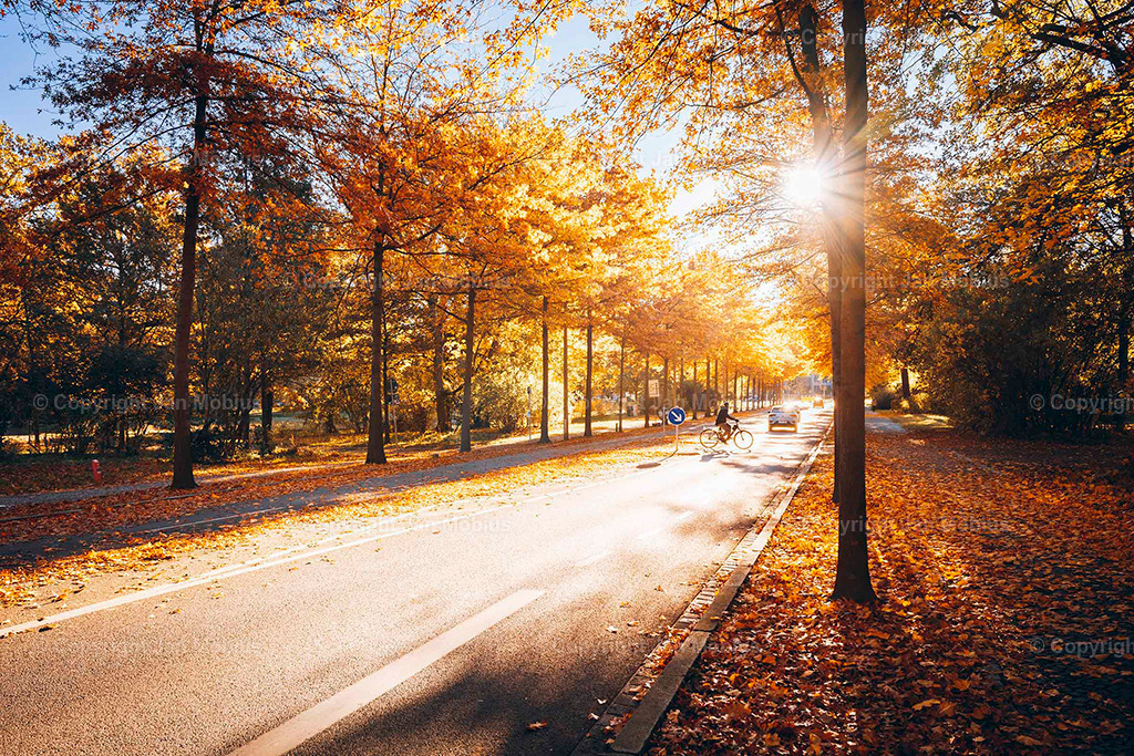 Clara Park | Der Clara-Zetkin-Park in Leipzig ist ein beliebter Ort für Natur, Sport und Erholung – perfekt für Spaziergänge, Jogging und entspannte Stunden im Grünen. - Realisiert mit Pictrs.com