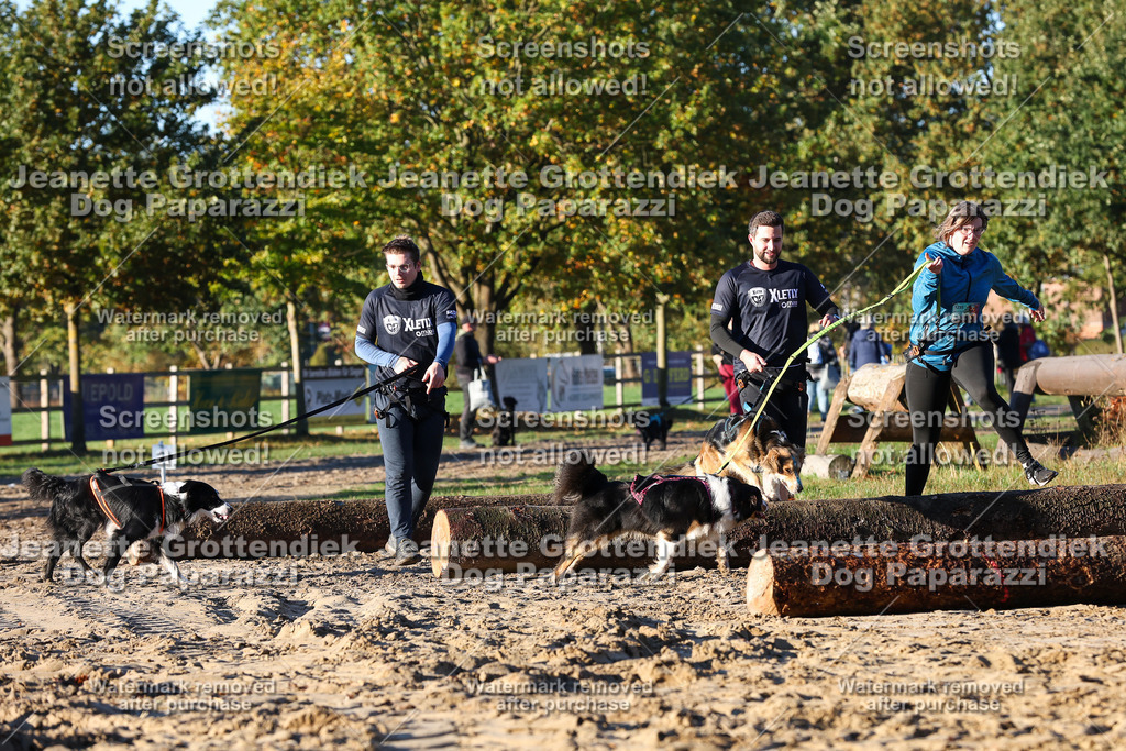 Dog Paparazzi - Strongdog 10-25-943 | Dog Paparazzi Jeanette Grottendiek Fotografie & Videografie - Realisiert mit Pictrs.com