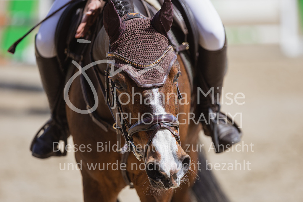 230501_SpengeW_M2St-240 | Deine schönsten Turniermomente als professionelle Fotos! Entdecke hochwertige Pferdesport-Fotografie im Online-Shop. Jetzt Fotos finden & bestellen!