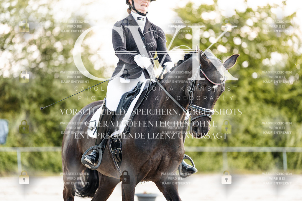 CK909390 | Turnierfotografie Pferdefotografie Trier Rheinland-Pfalz Pferdesport Reitsport Tierfotografie Sportfotografie Pferdevideo Pferdevideografie Equestrianvideography equestrianphotography  - Realisiert mit Pictrs.com