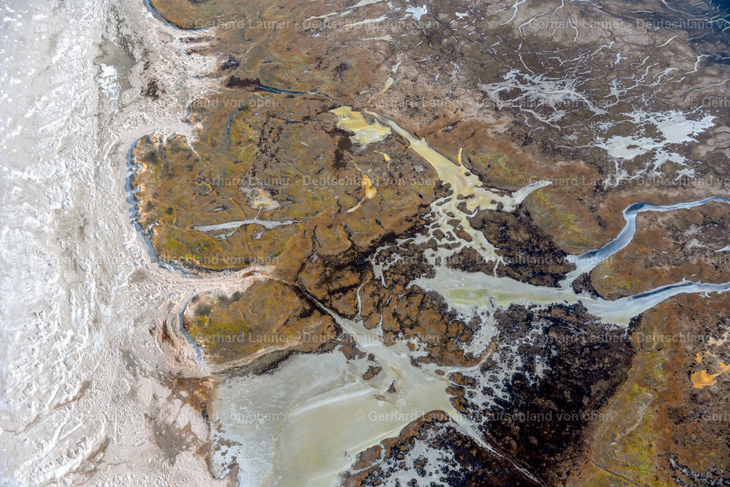 4044343 | winterliche Insellandschaft am Ostende vonSpiekeroog Nationalpark Niedersächschisches Wattenmeer