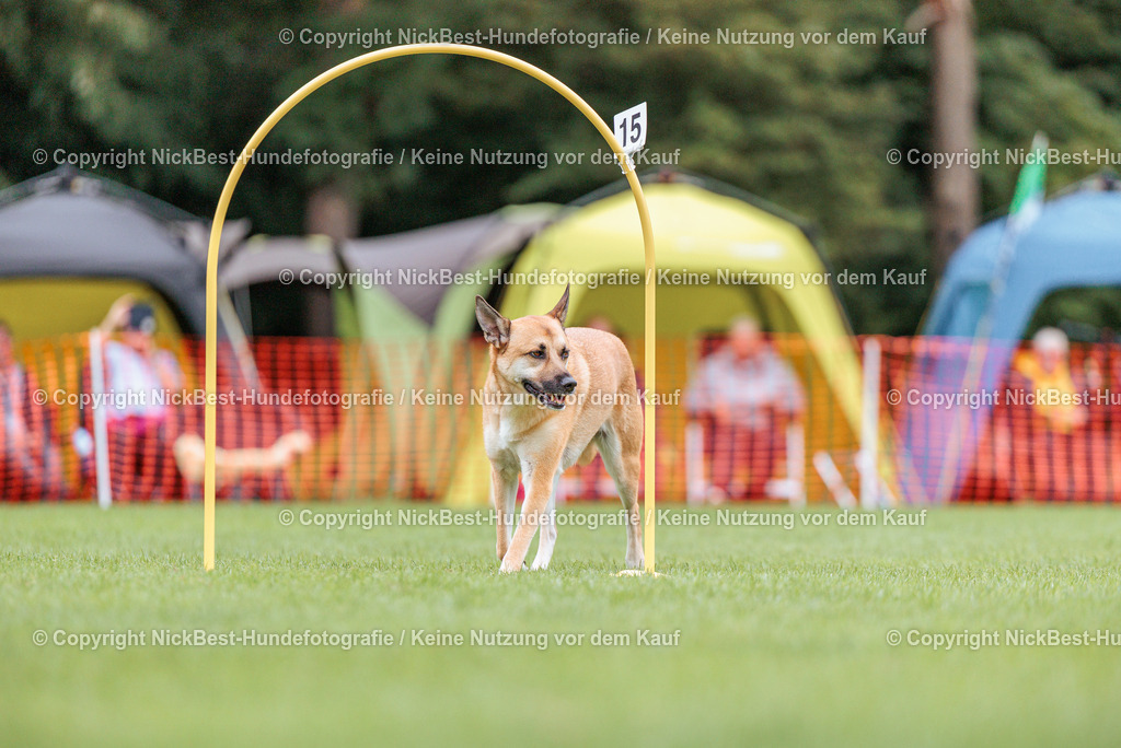 BSP Hoopers-H2 Tag2-2026-Nickbest-Hundefotografie-TuS Komet Arsten e.V.-8485 | Dein Hund! Dein Moment! Deine Erinnerungen! Hundefotografie in Bremen Blumenthal. Ich fange die besonderen Momente deines Vierbeiners ein – ob Indoor mit Blitzanlage oder in der freien Natur. Sicher dir dein Moment und dein Termin für eure Erinnerungen.
