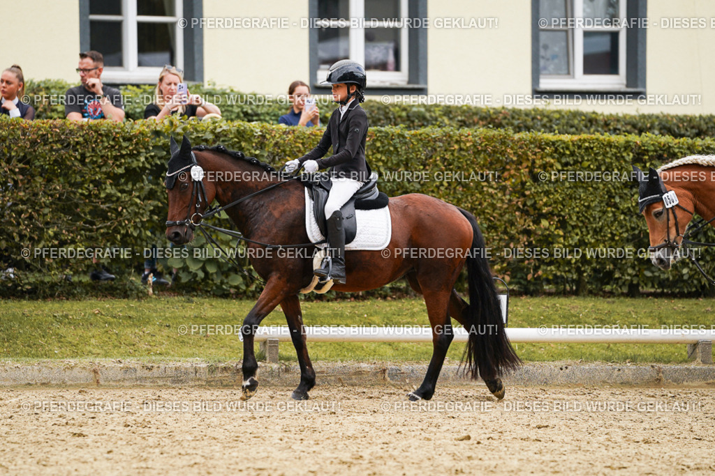 DSC00457 | Pferdegrafie