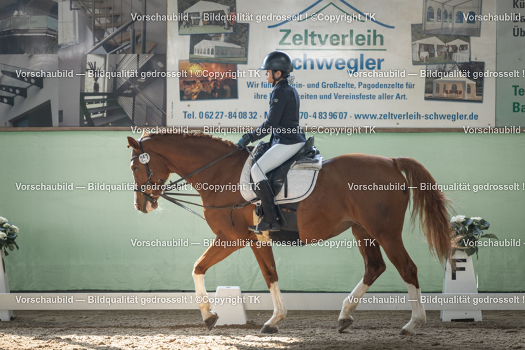_D5A8795 | Emotionale Pferde- & People-Fotografie rund um Heidelberg, Leimen & Umgebung. Natürliche Fotos von Pferd, Mensch & Familie. Jetzt Termin sichern!
