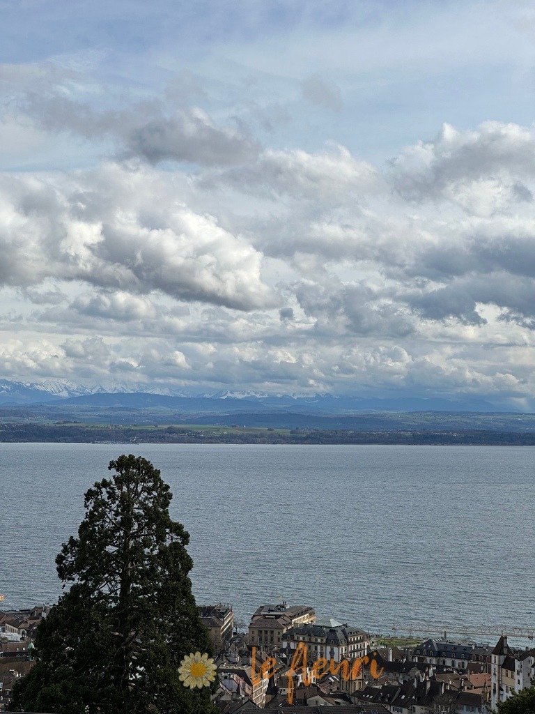 31229F6F-C0AE-4458-B426-00940736D919 | Dies ist der Shop von Florian Blum - le fleuri. Langenthal, Bern, SchweizSie können hier meine oder ihre eigenen Fotos als Fotoprodukte kaufen. Tassen, Schlüsselanhänger, Taschen etc. können Sie hier gestalten.  - Realisiert mit Pictrs.com