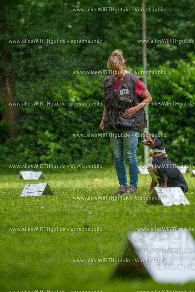 @allesWIRTHgut_Tierfotografie - www.allesWIRTHgut.de - 7R504575 | Professionelle Tierfotografie in Mönchengladbach von Daniel Wirth (allesWIRTHgut). Liebevolle & natürliche Bilder von Hunden & Katzen für unvergessliche Erinnerungen.