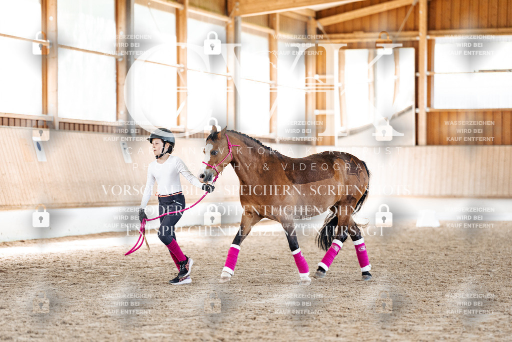 CK907105 | Turnierfotografie Pferdefotografie Trier Rheinland-Pfalz Pferdesport Reitsport Tierfotografie Sportfotografie Pferdevideo Pferdevideografie Equestrianvideography equestrianphotography  - Realisiert mit Pictrs.com