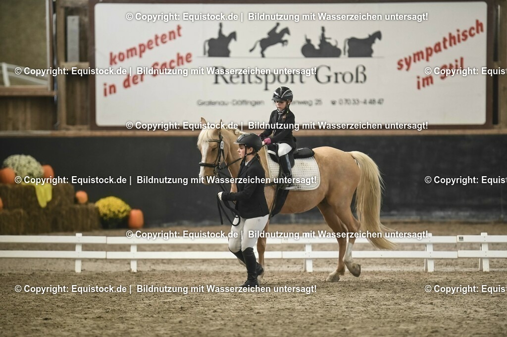 20231029_Führzügel-WB_Abteilung-04_0024 | Foto: Thomas Hartig