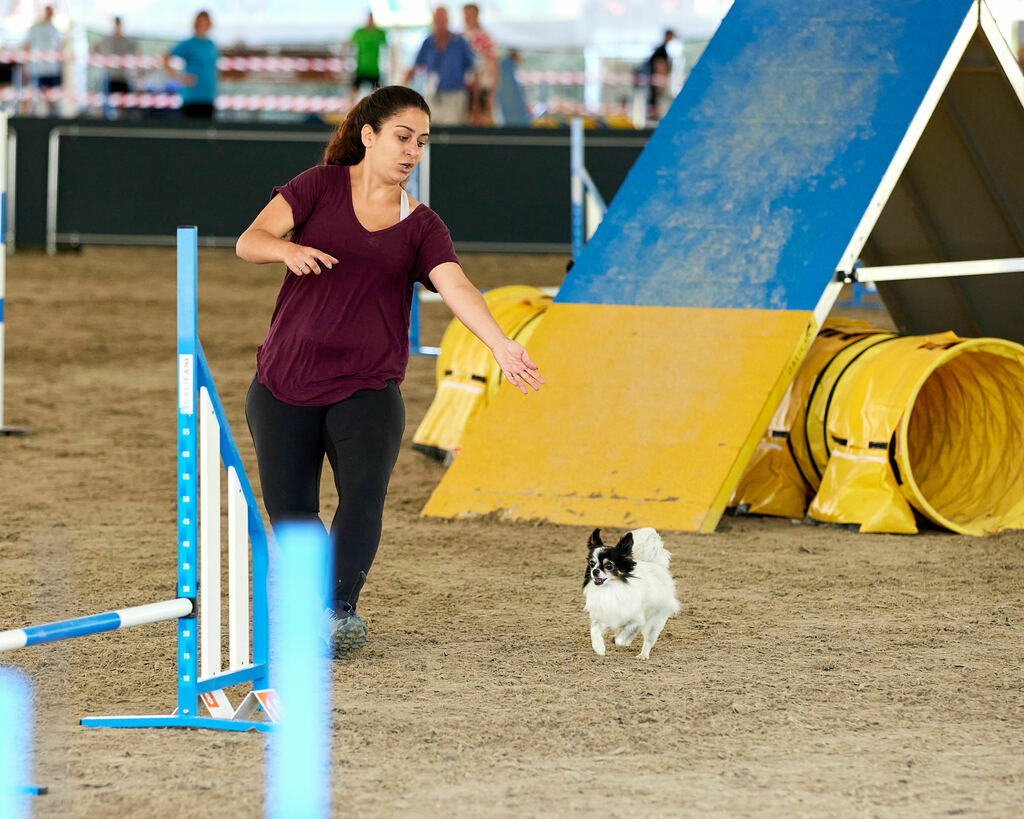 580B0111 | Peter Fridle Fotografie - Realisiert mit Pictrs.com