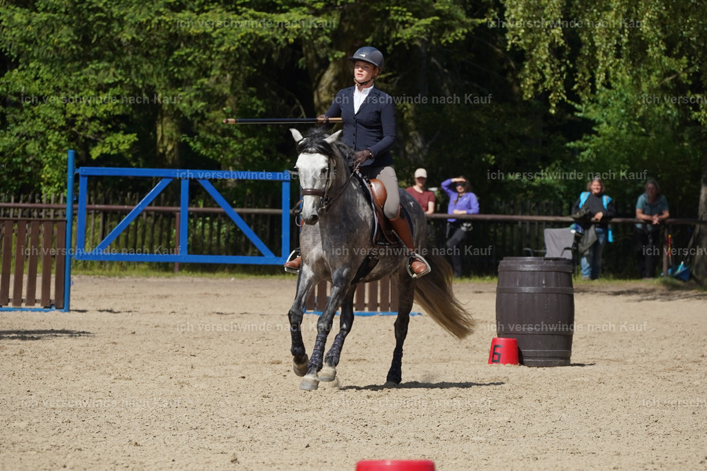 KlasseM_Lucie (6) | working equitationturnier fotograf videograf stoibphotography marixx film working equitation deutschland reitsport turnierfotografie eventfotografie equestrian events