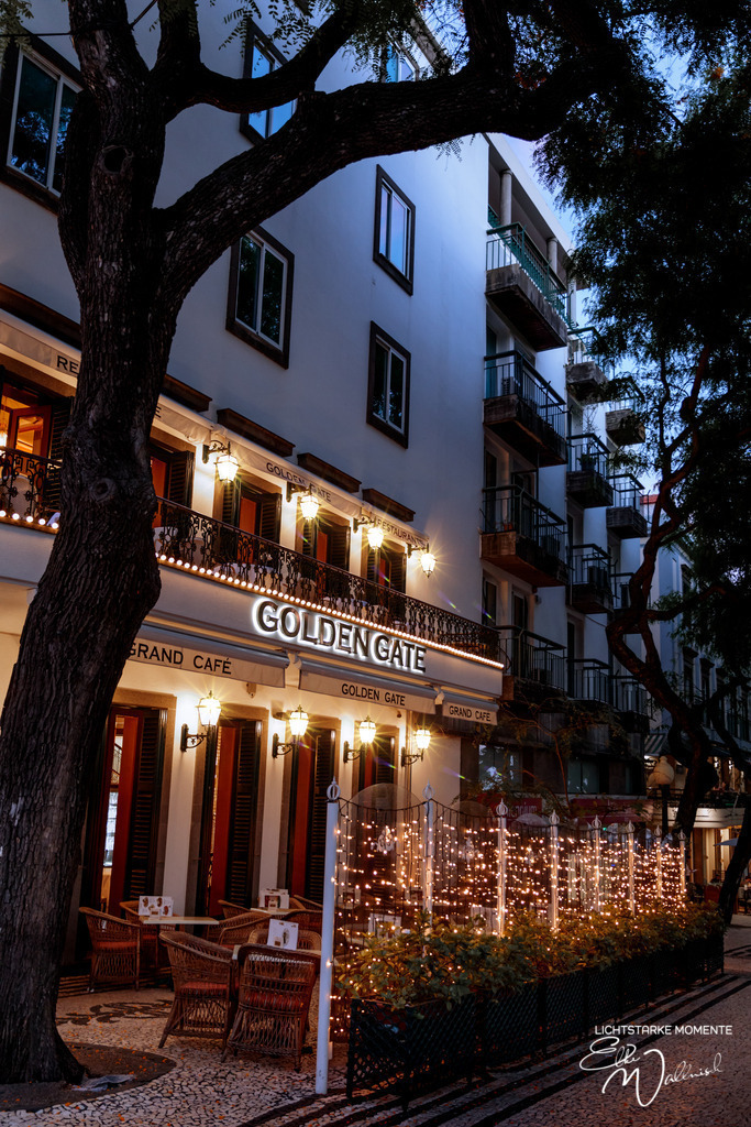 Funchal; Madeira | Herzlich willkommen auf meiner Seite! Ich bin Elke Wallnisch, Deine Fotografin für lichtstarke Momente. Der Name steht für alles, was mich mit der Fotografie verbindet: Das Licht und seine machtvolle Wirkung auf eine Situation oder unsere Stimmung - Realisiert mit Pictrs.com