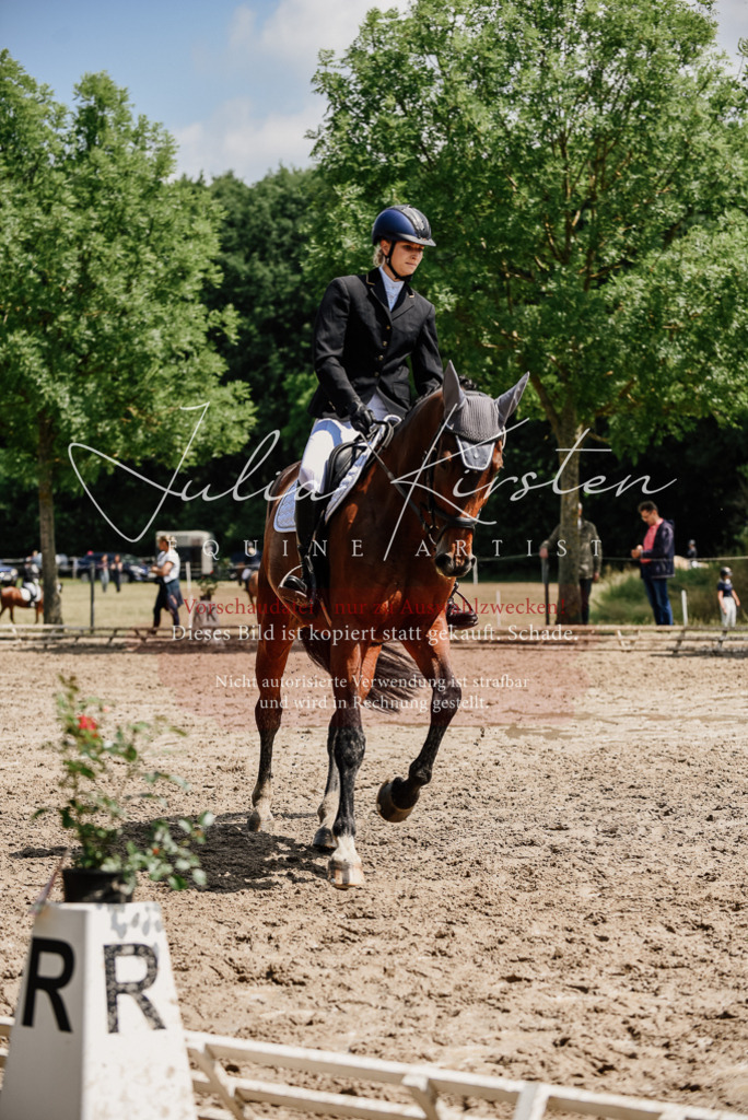 DSC_1144 | Pferde- und Turnierfotografie in Westsachsen. Pferdeportraits, Auftragszeichnungen und intuitive Kunst.