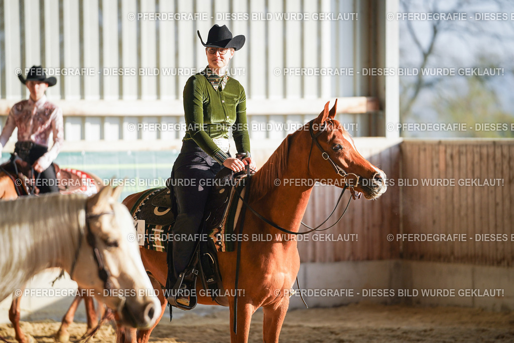 DSC08295 | Pferdegrafie