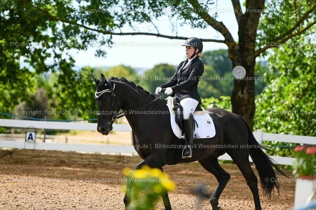20230715_07_Dressurpferdeprfg. Kl.L_0152 | equistock