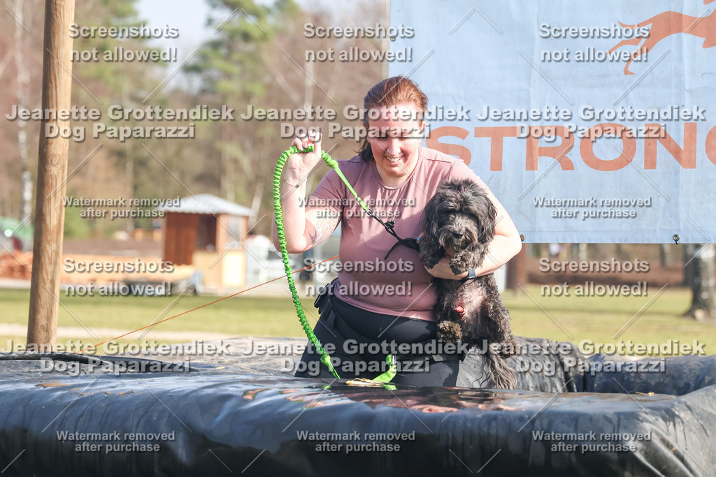 Dog Paparazzi - Strongdog North Mrz26-2165 | Dog Paparazzi Jeanette Grottendiek Fotografie & Videografie - Realisiert mit Pictrs.com