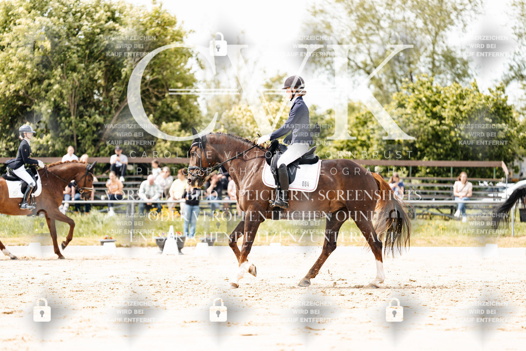 CK902147 | Turnierfotografie Pferdefotografie Trier Rheinland-Pfalz Pferdesport Reitsport Tierfotografie Sportfotografie Pferdevideo Pferdevideografie Equestrianvideography equestrianphotography  - Realisiert mit Pictrs.com