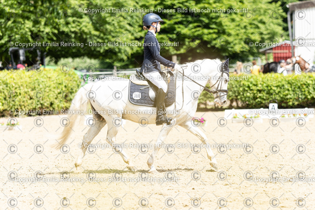 CL5A3178 | Emilia Reinking Fotografie - Realisiert mit Pictrs.com