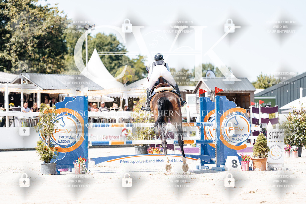 CK909458 | Turnierfotografie Pferdefotografie Trier Rheinland-Pfalz Pferdesport Reitsport Tierfotografie Sportfotografie Pferdevideo Pferdevideografie Equestrianvideography equestrianphotography  - Realisiert mit Pictrs.com
