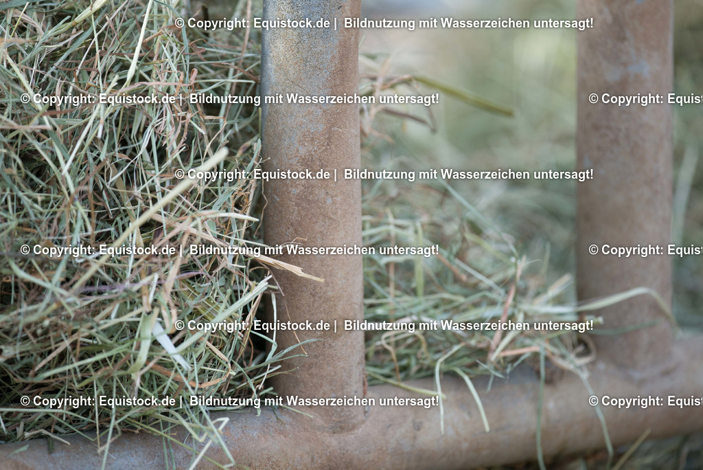 TS_20180305_Heuraufe_0001 | Foto: Thomas Hartig