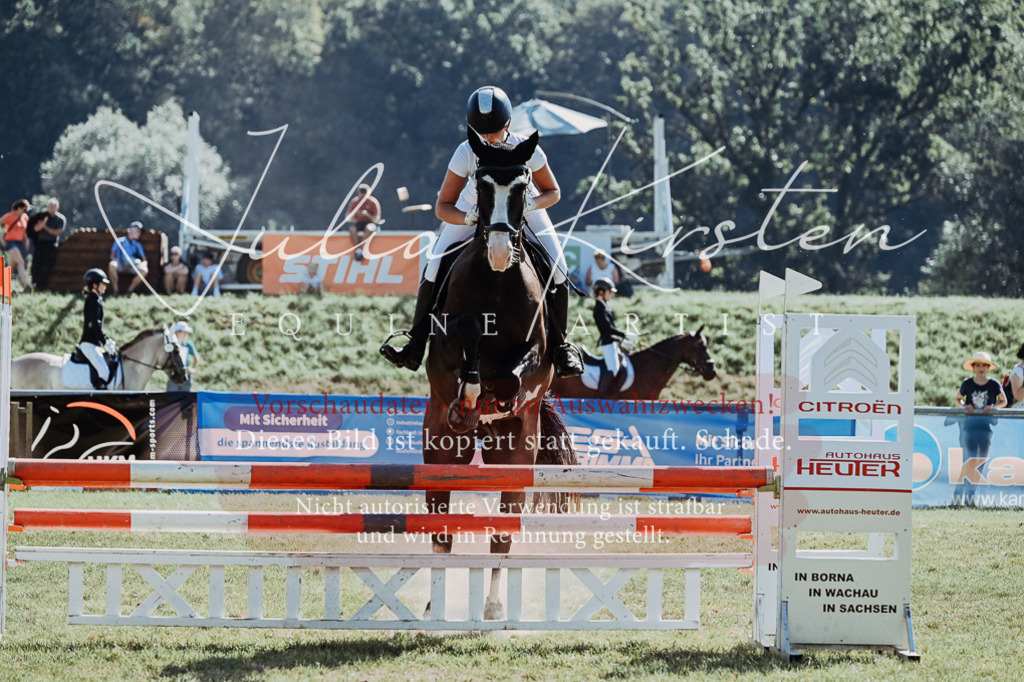 DSC_5891 | Pferde- und Turnierfotografie in Westsachsen. Pferdeportraits, Auftragszeichnungen und intuitive Kunst.