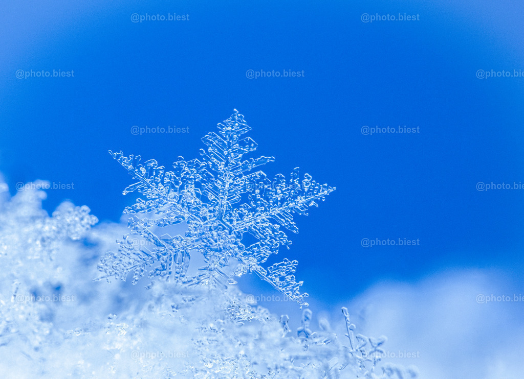 Schneeflocke #1 | Eine filigrane Schneeflocke. - Realisiert mit Pictrs.com