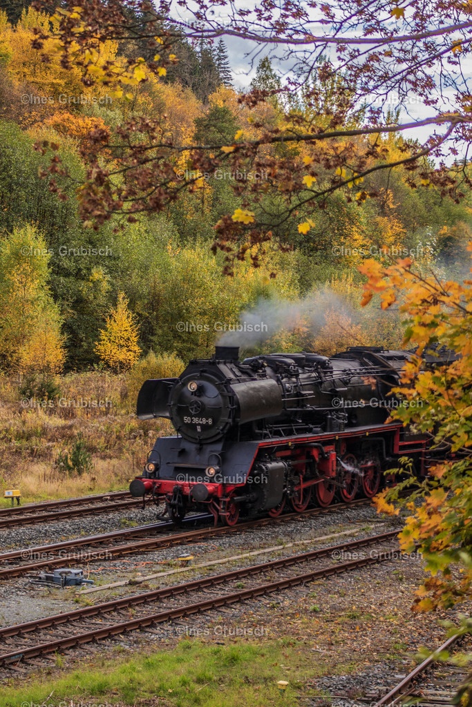 Erzgebirgische Aussichtsbahn im Herbst | Lila Lubbenbomm - Artwork by Ines Grubisch - Realisiert mit Pictrs.com